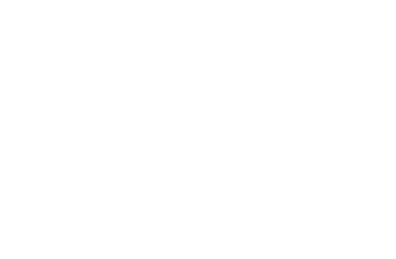 logo adrien toma