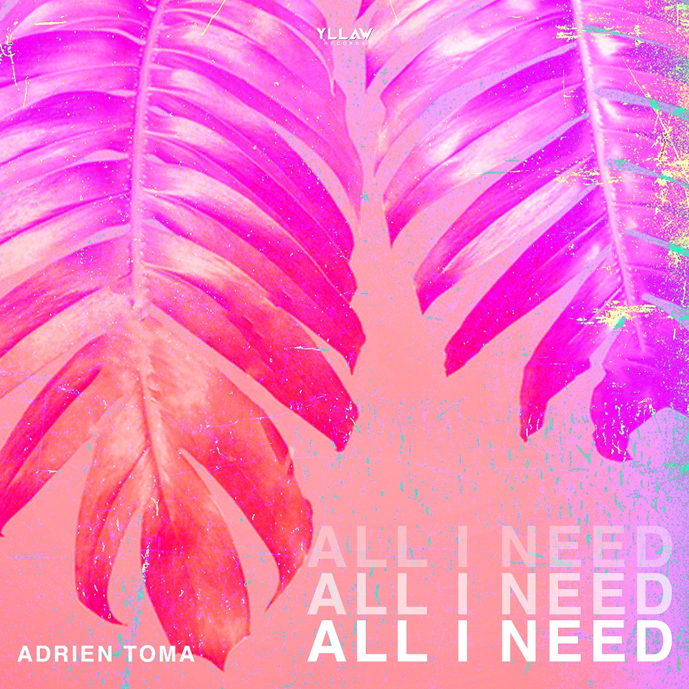 RÃ©sultat de recherche d'images pour "adrien toma all i need"